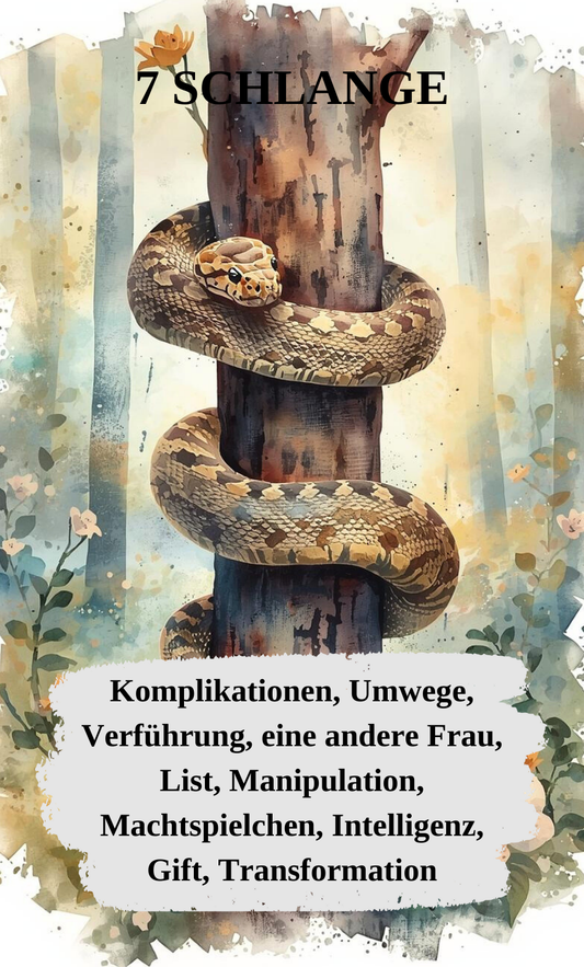 Color of Soul Lenormand - mit Deutungstext (große Karten)